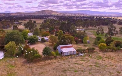 Mansfield teen with autism has big dreams for therapeutic farm