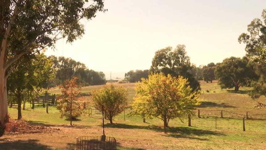 A shovel in the ground at the farm