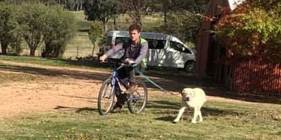 bike riding with a dog