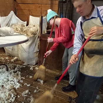 work experience sweeping wool floor